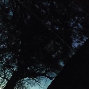 Meet your Posher, Randy